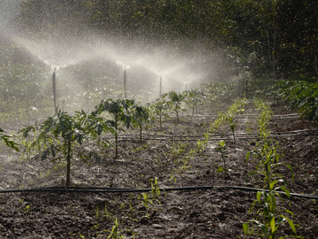 The Importance of Efficient Irrigation: Saving Water and Supporting Sustainability